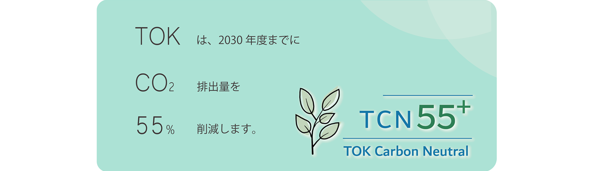 創業100年