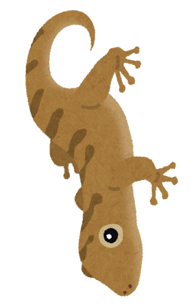 TOKブログ