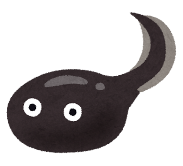 TOKブログ