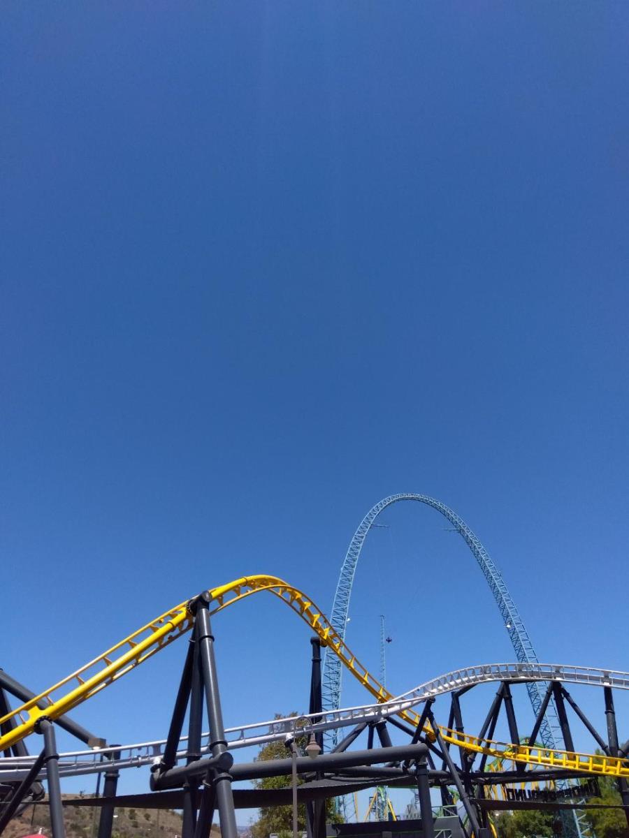 トップブログ