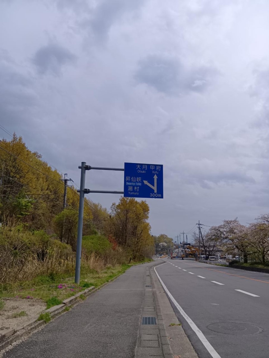 トップブログ